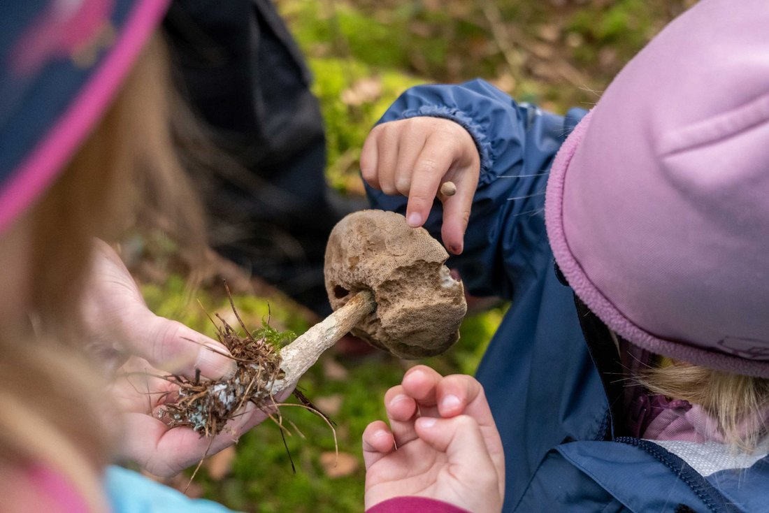Kinder untersuchen einen Pilz